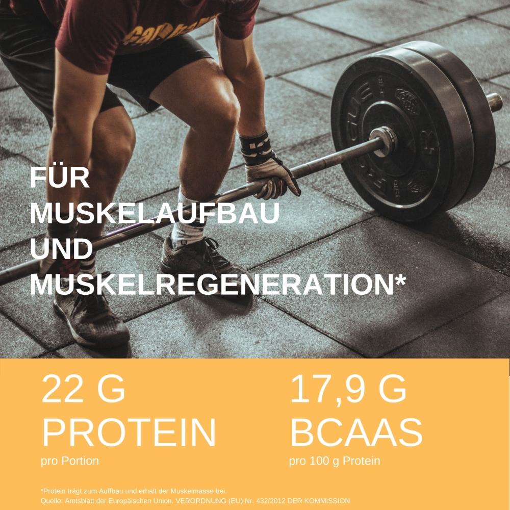 Vegan Protein (900g) - BEARFORMANCE